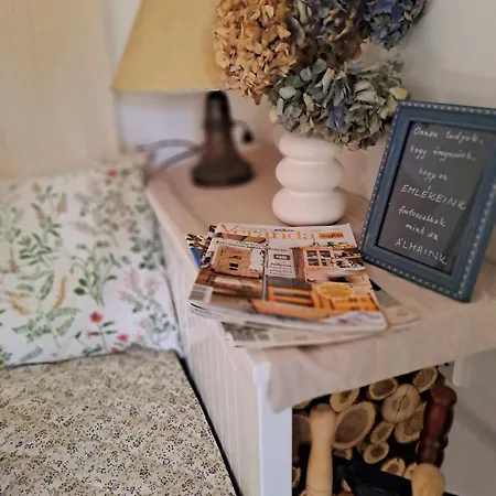 Lassu Tanya Vendeghaz Apartament Nagykoros