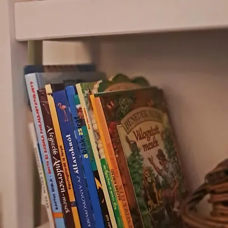 Lassu Tanya Vendeghaz Nagykoros